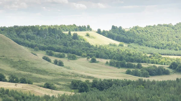 Krásné Hladké Zelené Kopce Slunečného Letního Dne Krajina — Stock fotografie