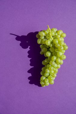 Mor arka planda üzümler. Bir sürü. Doğal güneş ışığı.