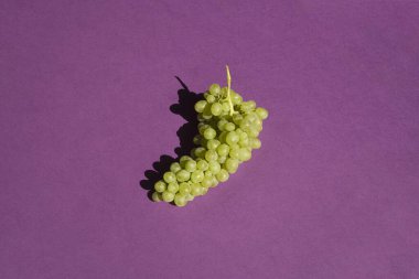 Mor arka planda üzümler. Bir sürü. Doğal güneş ışığı.