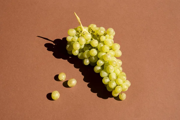 Winogrona Brązowym Tle Banda Naturalne Światło Słoneczne — Zdjęcie stockowe