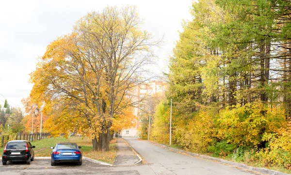 Rua Autumn City Dois Carros Lixo Folhas Amarelo Outono — Fotografia de Stock