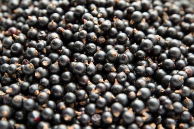 Frenk üzümü. Doğal yiyecekler. Geçmişi. Doğanın armağanı..