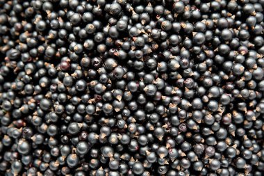 Frenk üzümü. Doğal yiyecekler. Geçmişi. Doğanın armağanı..