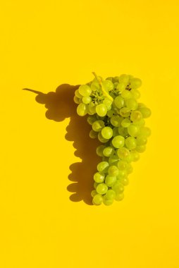 Sarı arka planda üzümler. Bir sürü. Doğal güneş ışığı.