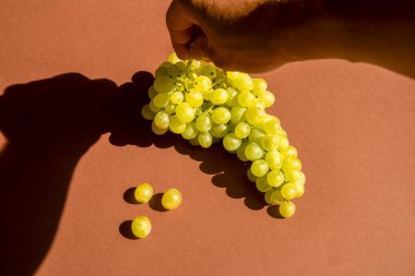 Eli üzüm tutuyor. Kahverengi masa. Doğal güneş ışığı.