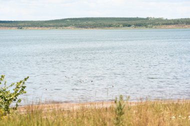 Güneşli bir yaz gününde berrak mavi suyu olan güzel bir göl. Peyzaj.
