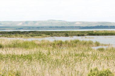 Güneşli bir yaz gününde berrak mavi suyu olan güzel bir göl. Peyzaj.