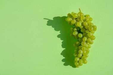 Yeşil arka planda üzümler. Bir sürü. Doğal güneş ışığı. Boşluğu kopyala.