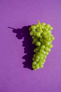 Mor arka planda üzümler. Bir sürü. Doğal güneş ışığı.