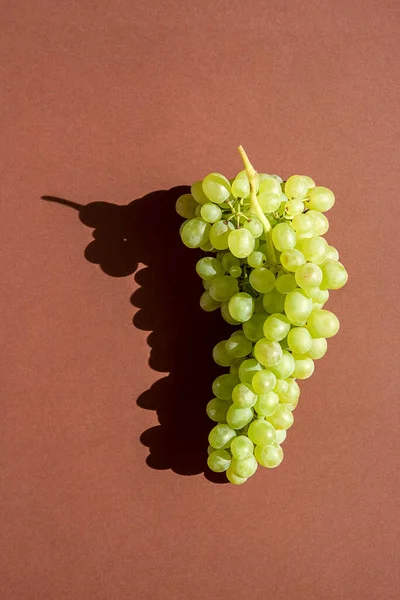 Kahverengi arka planda üzümler. Bir sürü. Doğal güneş ışığı.