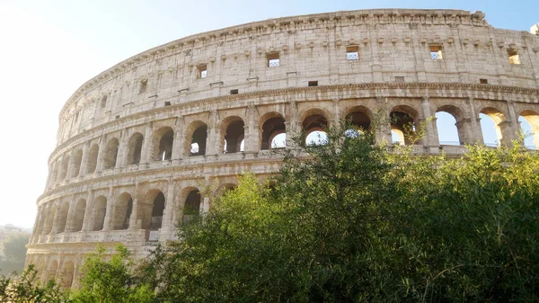 O Coliseu Romano de Manhã em Roma, Itália — Fotografia de Stock