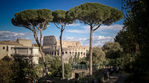 Vista do Coliseu Romano Através de Árvores em Roma, Itália, pessoas borradas — Fotografia de Stock