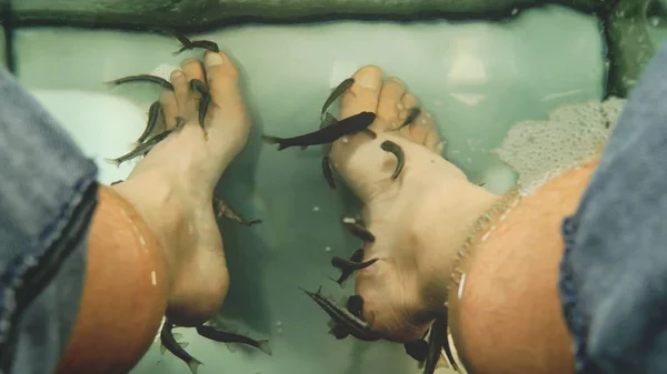 Ψάρια Spa πεντικιούρ, Rufa Garra τσίμπημα δέρμα από τα πόδια Mans Royalty Free Εικόνες Αρχείου