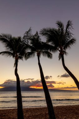 güzel bir tropik gün batımı Maui Adası