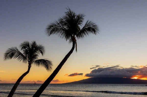 Una Hermosa Puesta Sol Tropical Isla Maui —  Fotos de Stock