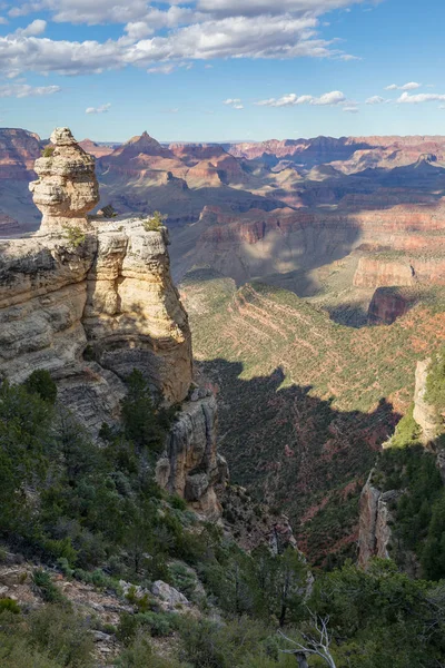 Beauté Pittoresque Grand Canyon Depuis Bord Sud — Photo