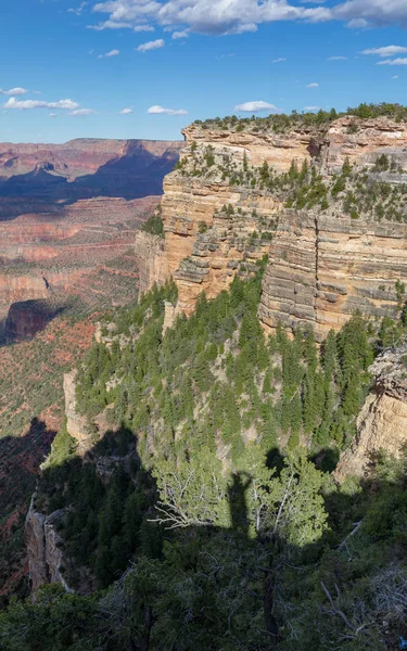 Die Landschaftliche Schönheit Des Grand Canyon Vom Südrand — Stockfoto