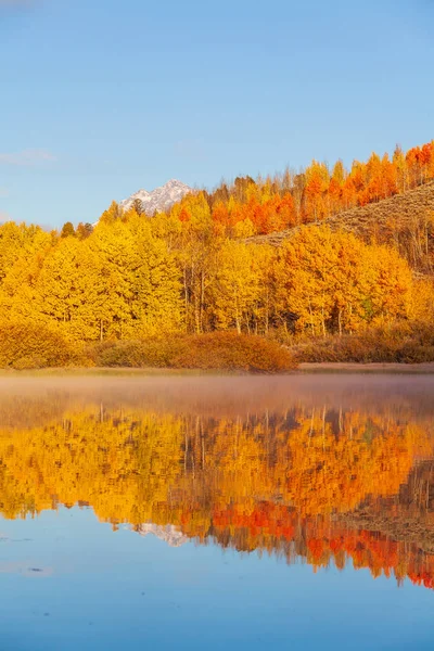 Scenic Reflection Tetons Autumn Oxbow Bend — Stock Photo, Image