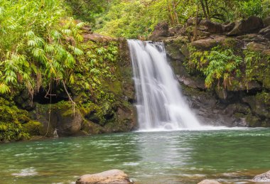 Hana Maui için yol boyunca doğal bir şelale