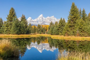 Tetons 'da manzaralı bir sonbahar yansıması manzarası