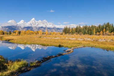 Tetons 'da manzaralı bir sonbahar yansıması manzarası
