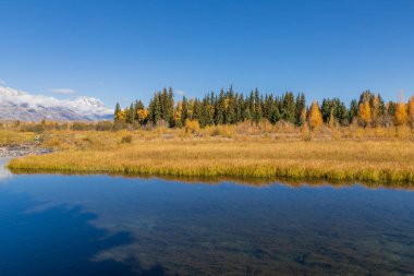Tetons 'da manzaralı bir sonbahar yansıması manzarası