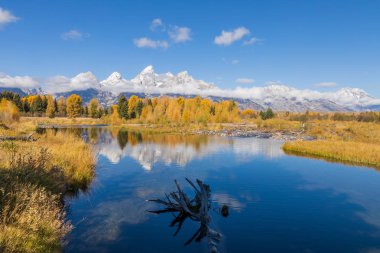 Tetons 'da manzaralı bir sonbahar yansıması manzarası