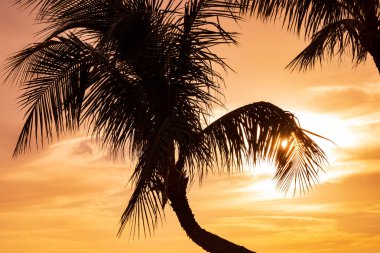 güzel bir gün batımı Maui Adası