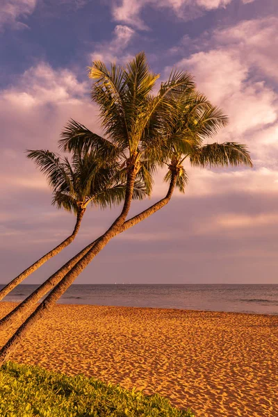 Krásný Západ Slunce Ostrově Maui — Stock fotografie