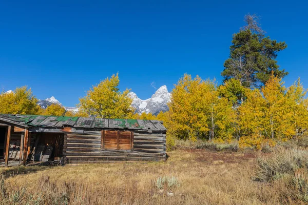 Old Log Cabin Scenic Teton Landscape Autumn — Stock Photo, Image