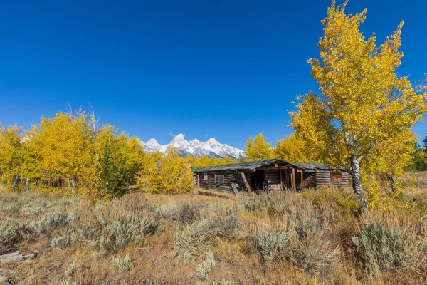 Old Log Cabin Scenic Teton Landscape Autumn — Stock Photo, Image