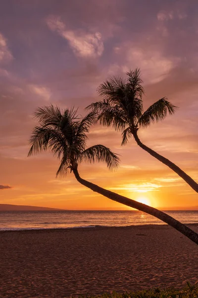 Beau Coucher Soleil Sur Une Plage Maui — Photo