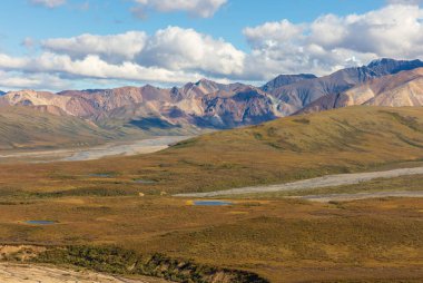 denali Milli Parkı alaska doğal peyzaj