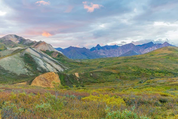 Scenic Landscape Denali National Park Alaska — Stock Photo, Image