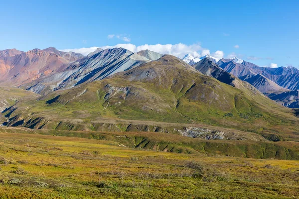 Paysage Pittoresque Parc National Denali Alaska — Photo