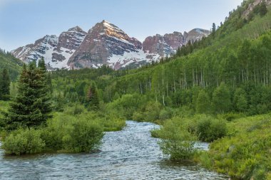 Bordo doğal peyzaj çan aspen yaz Colorado'da
