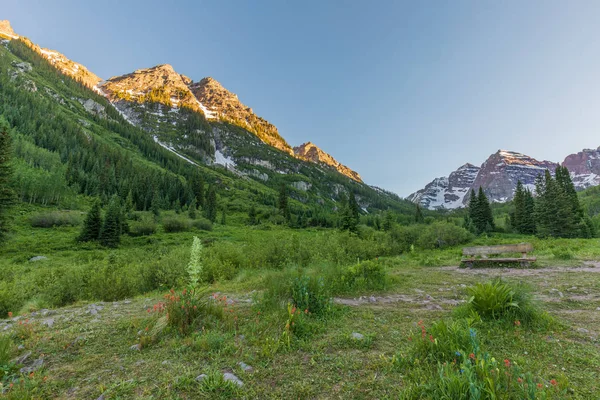 Bordo doğal peyzaj çan aspen yaz Colorado'da