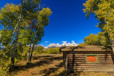 Tetons doğal bir sonbahar manzara
