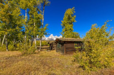 Tetons doğal bir sonbahar manzara