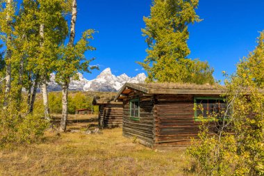 Tetons doğal bir sonbahar manzara
