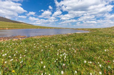 Yaz aylarında Colorado dağların sahne manzara