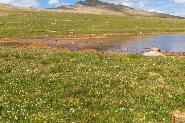 Yaz Aylarında Colorado Dağların Sahne Manzara — Stok fotoğraf