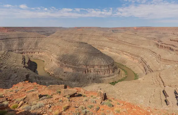 Les Cols Cygne Pittoresques Fleuve San Juan Dans Sud Utah — Photo