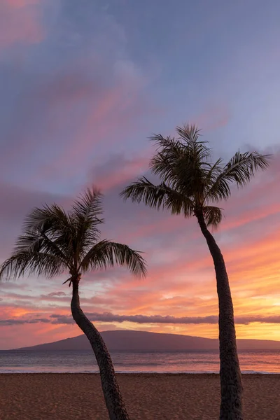 美しいマウイ島のビーチの夕日にシルエットのヤシの木 — ストック写真