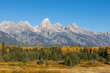 sonbaharda tetons doğal peyzaj