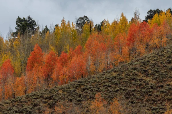 Scenic Autumn Landscape Tetons — Stock Photo, Image