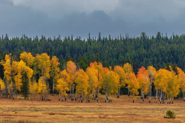 Paesaggio Autunnale Panoramico Nei Tetons — Foto Stock