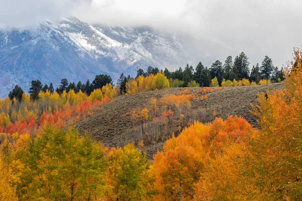 Uma Paisagem Outono Cênica Nos Tetons — Fotografia de Stock