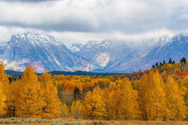 Tetons doğal bir sonbahar manzara