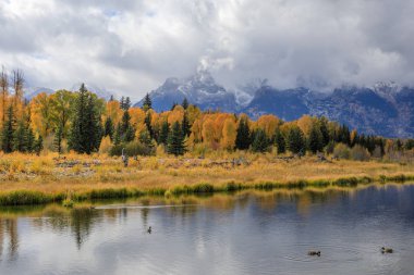Sonbahar grand teton Milli parkta doğal peyzaj
